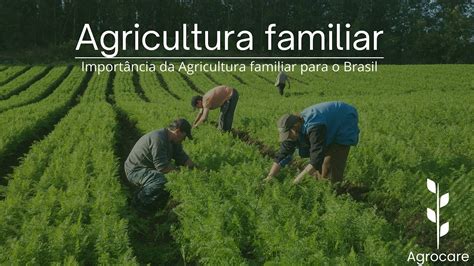 Qual A Import Ncia Da Agricultura Familiar Para O Brasil Youtube