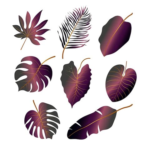 Premium Vector Tropical Leaves Collection