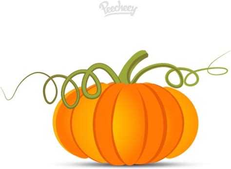 Pumpkin Vine Drawing | Free download on ClipArtMag