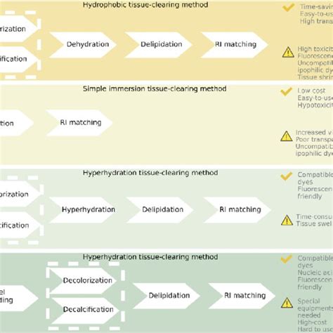 Different Steps For The Four Classifications Of Tissue Clearing