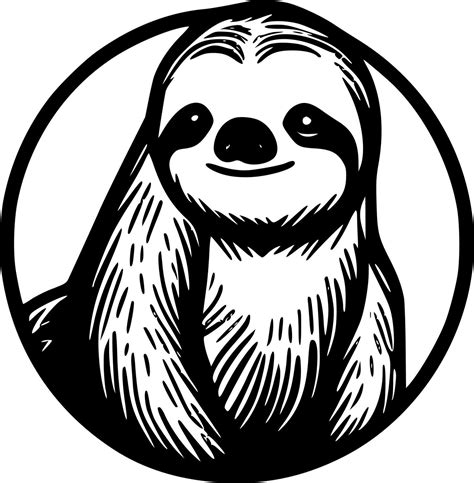 Sloth Black And White Vector Illustration 24565218 Vector Art At Vecteezy