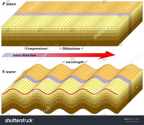 Earthquake Wave Diagram