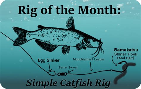 Rig of the Month- A simple Catfishing setup!