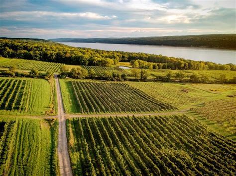 Atwater Vineyards Seneca Lake Wine Trail