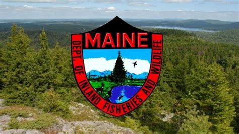 Wardens Find Missing 78 Year Old Maine Man With Dementia