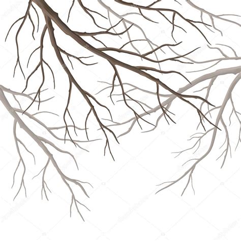 Vector Tree Branches Stock Vector Kostins