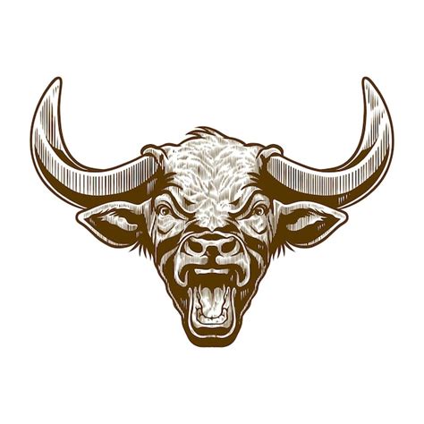 Premium Vector Bull Head In Old Engraved Illustration Style