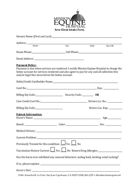 Fillable Online Client Intake Form The Basics Fax Email Print Pdffiller