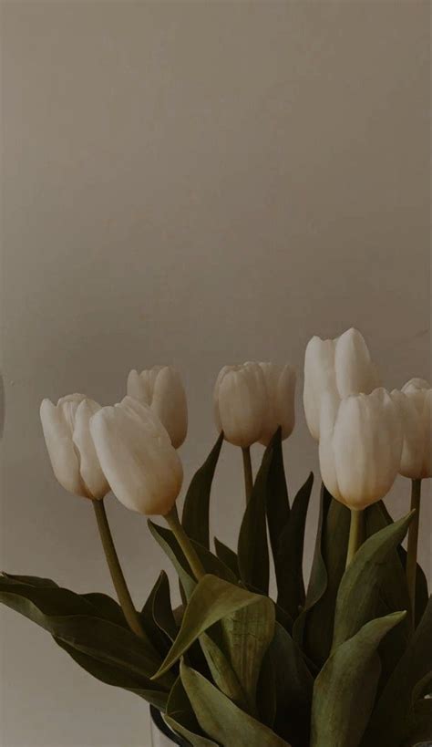 White Tulips In A Glass Vase Flower Aesthetic Wallpaper