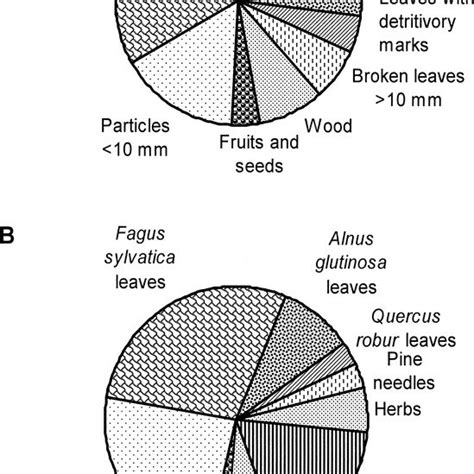 Percent Composition Of Coarse Particulate Organic Matter Cpom