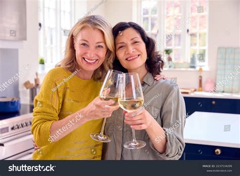 Portrait Same Sex Mature Female Couple Stock Photo