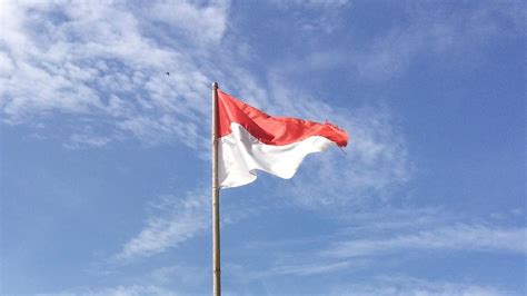 Visi Kontemporer Sistem Pendidikan Nasional Indonesia Mau Dibawa Ke Mana