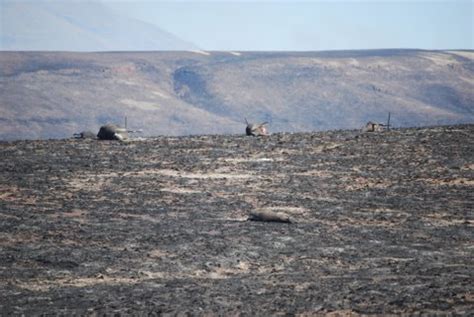 Southeastern Oregon S Massive Long Draw Fire A Harrowing Escape