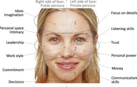 Beta Facial Profiler Excellent Porn