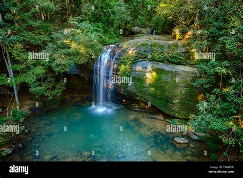 Serenity Falls At Buderim Forest Park Stock Photo Alamy