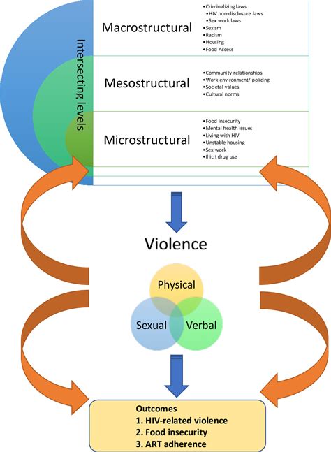 Figure 1 From The Impact Of Structural Inequities And Interpersonal