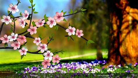 Flower Photography Wallpapers on WallpaperDog