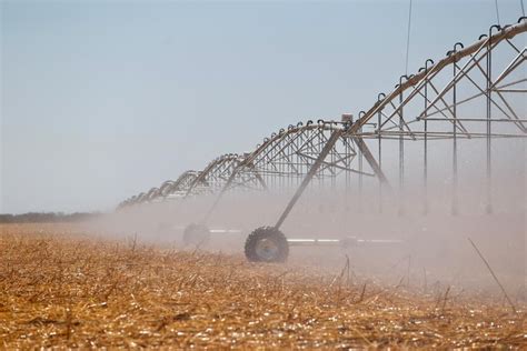 Saiba como receber incentivos fiscais para produção agrícola irrigada