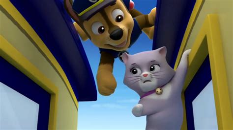 Pups Save A Trainquotes Paw Patrol Wiki Fandom Powered By Wikia