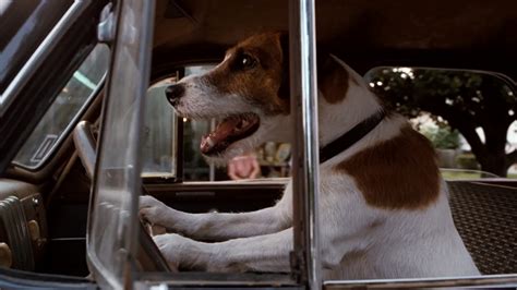 #224 - My Dog Skip (2000) • CINEJOUR