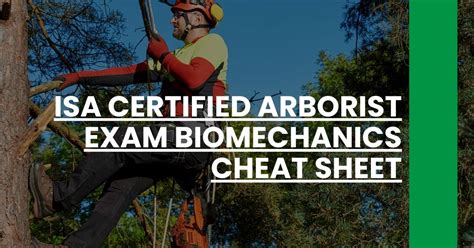 Isa Certified Arborist Exam Biomechanics Cheat Sheet Arborist Prep