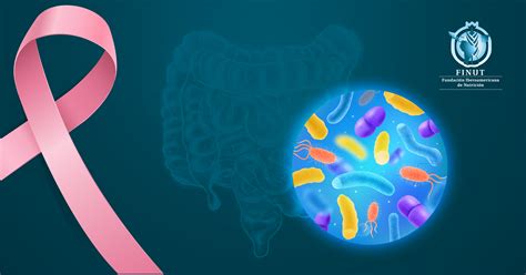 La microbiota intestinal y el cáncer de mama Fundación Iberoamericana