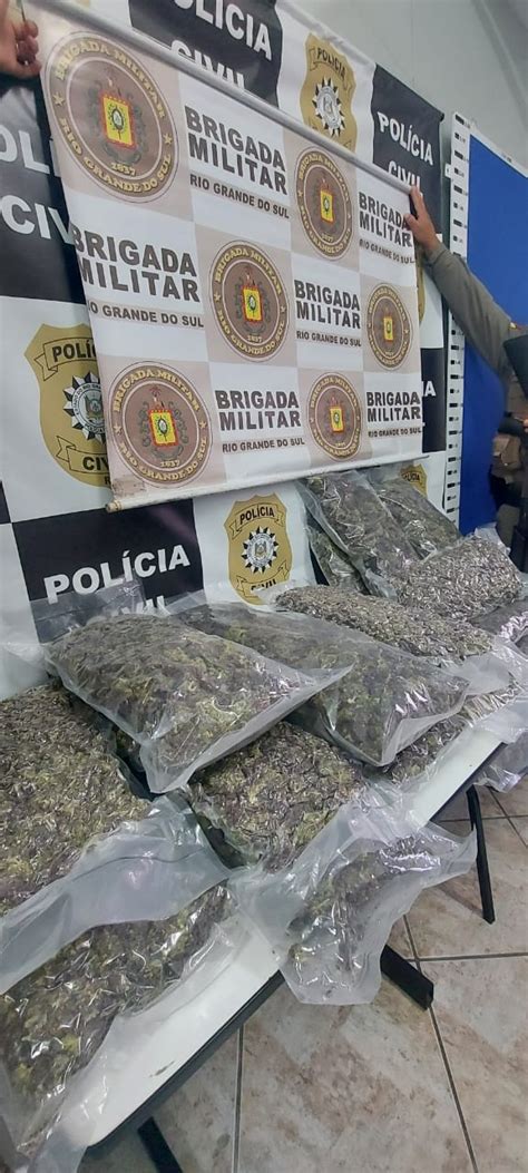 Operação Hórus apreende super maconha avaliada em 1 2 milhão de reais