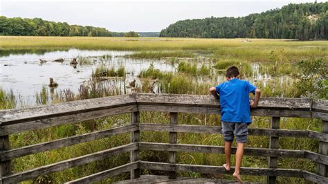 Naturschutz In anderen Ländern können Flüsse und Tiere klagen in