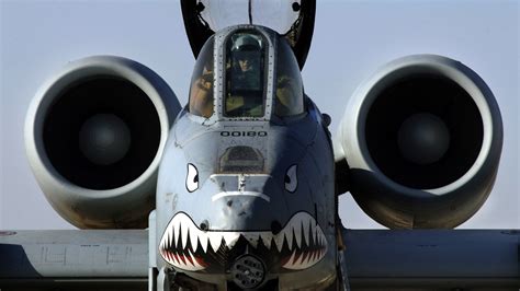 A-10 Warthog (The Flying Gun): It Can Fire 4,000 Rounds Per Minute