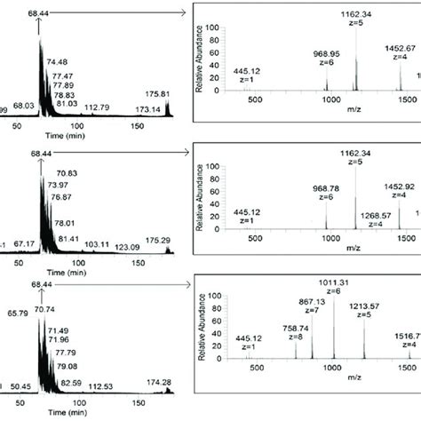 Chromatograms Left And Panoramic Mass Spectra Right Of Hydrolyzates