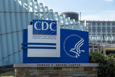 bird flu update  cdc issues  recommendations newsweek