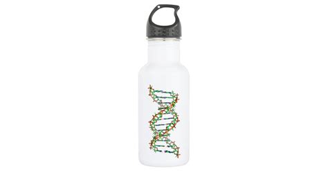 Dna Science Scientist Biology Stainless Steel Water Bottle Zazzle