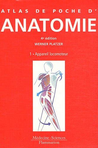 Buy Atlas De Poche D Anatomie Appareil Locomoteur Visceres Syst