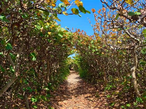 Blowing Rocks Preserve: This Florida Beach Will Blow You Away » Adventure-Seeking Mom