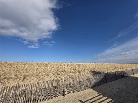 I shot over 200 photos with the Galaxy S25 Ultra vs iPhone 16 Pro Max