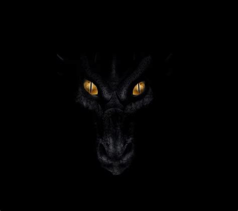 363 Wallpaper Black Dragon Images & Pictures - MyWeb