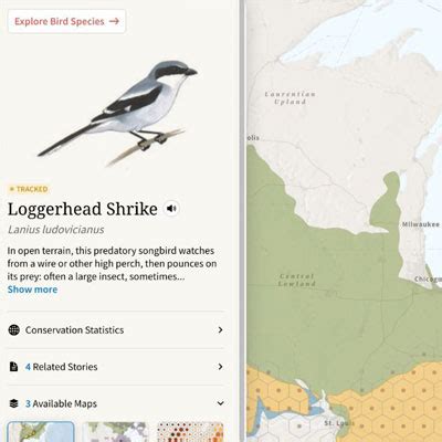 Mapping songbird migration - Wildlife Preservation Canada