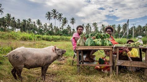 Is The Traditional Chewing Of Betel Nut Killing Papua New Guinea Bbc