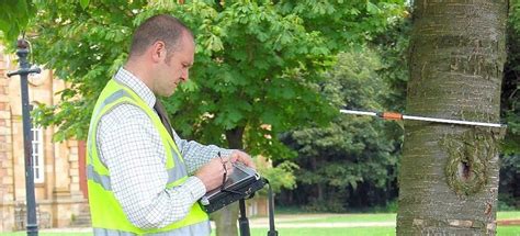 What Is A Tree Survey And Why Do I Need One Graftingardeners Ltd