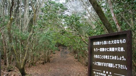 Aokigahara A floresta dos suicídios do Japão