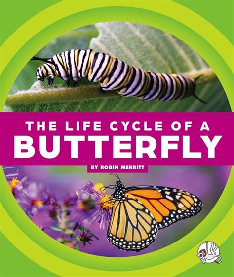 Life Cycles The Life Cycle Of A Butterfly Hardcover