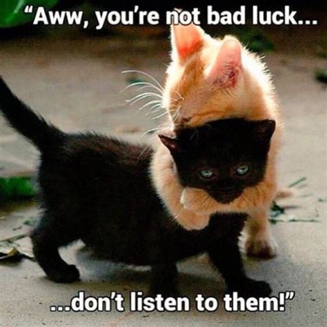 50 Funny Friday The 13th Memes To Ease Superstitious Fears