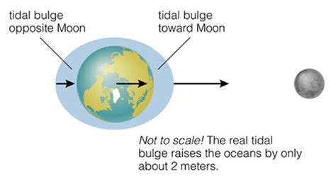 Science Lesson 28 Tides Flashcards Quizlet