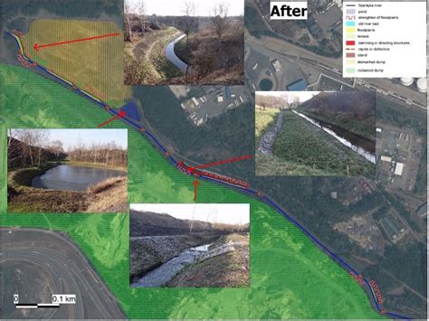 Land Reclamation Before And After