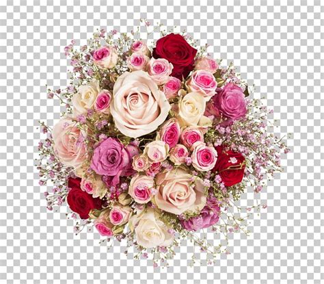 Garden Roses Cabbage Rose Floral Design Cut Flowers Png Clipart