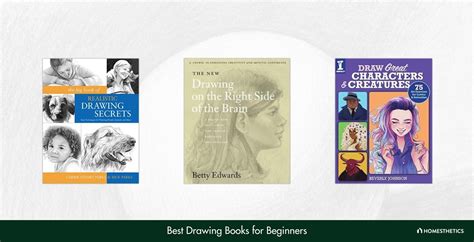 Best Drawing Books For Beginners Reviews Guide