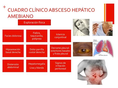 PPT ABSCESO HEPÁTICO PIÓGENO y AMEBIANO PowerPoint Presentation free