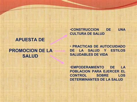 Modelo de abordaje de la promocion de la salud en el perú PPT