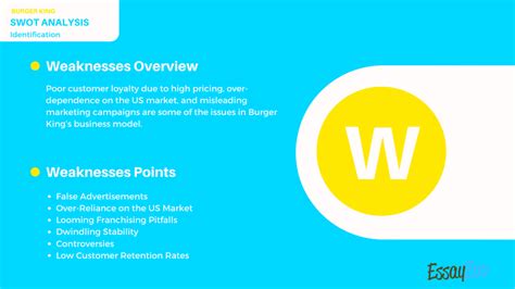 Swot Analysis On Burger King Essay Example For Free