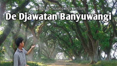 Vlog Tourguide Singkat Wisata Hutan Mistis De Djawatan Banyuwangi